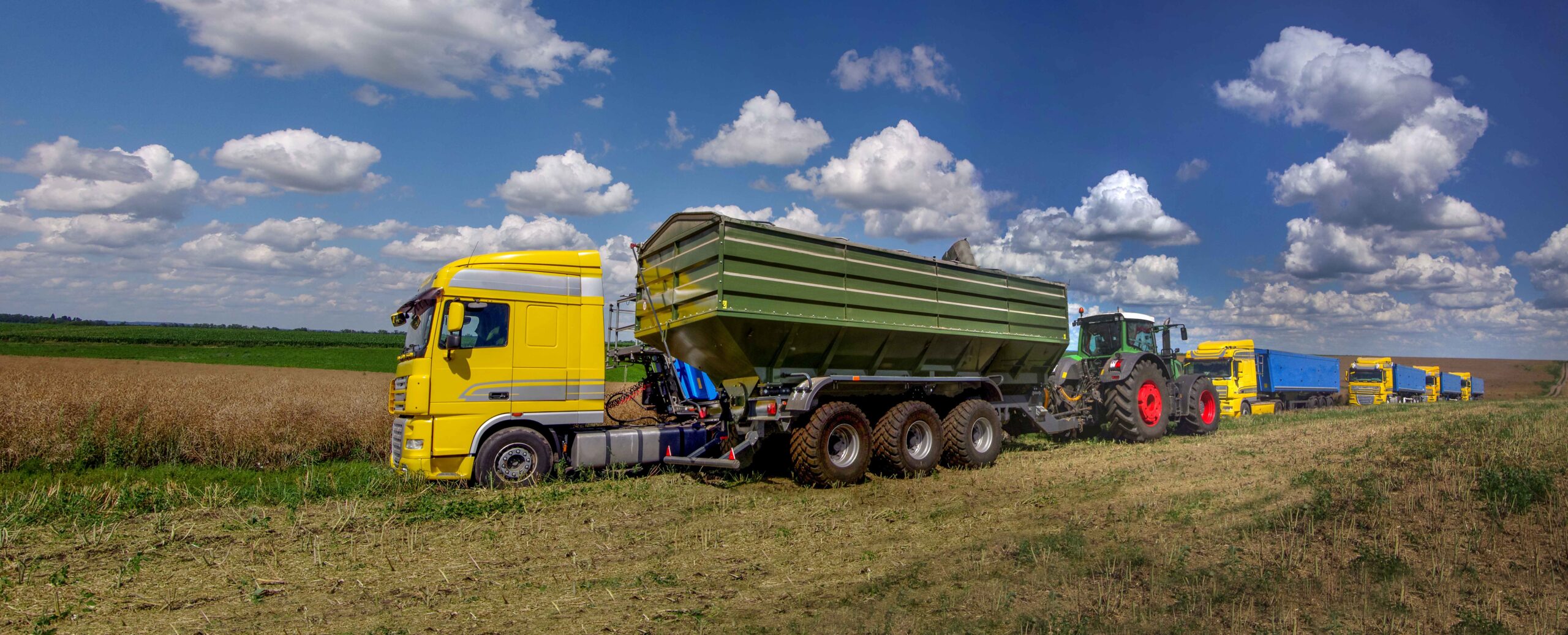 logisticaegestãodaqualidadenoagronegócio